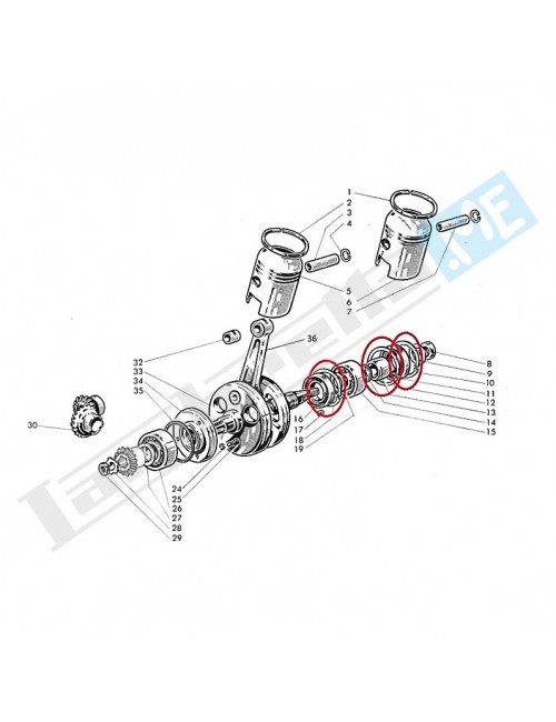 Anello elastico spallamento cuscinetto albero motore