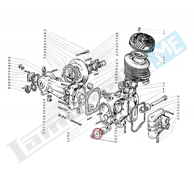 Rondella sicurezza per perno oscillazione carter motore