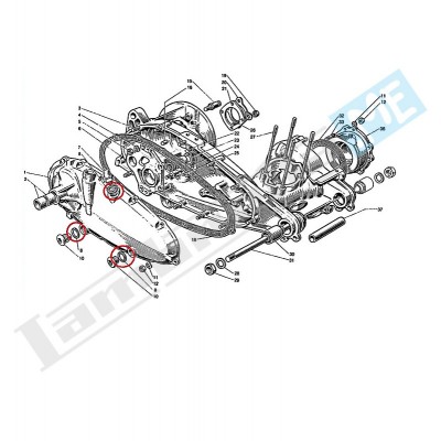 Guarnizione tappo 16x24x1,5mm