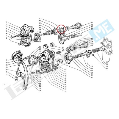 Ingranaggino avv. Z 13 con sede seeger