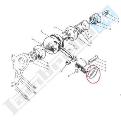 Segmento Pistone Ø std 60x2mm e maggiorazioni