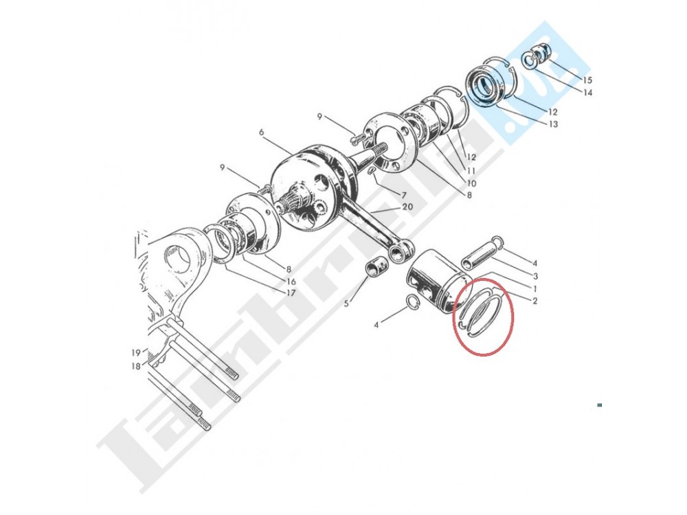 Segmento Pistone Ø std 60x2mm e maggiorazioni