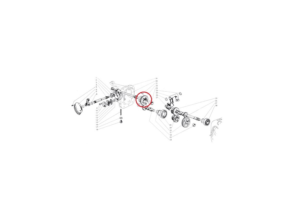 Ingranaggio folle sul primario 125 LD ( 5 innesti)