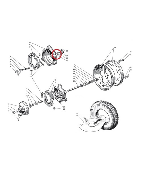 Rondella speciale elastica