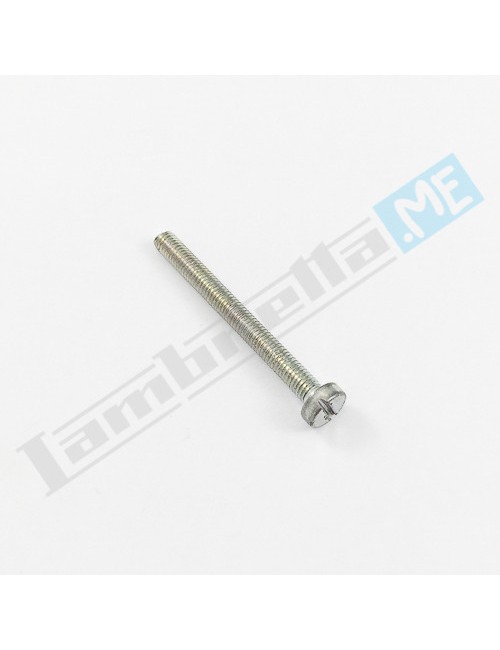 Vite fanalino posteriore Ø3X30mm