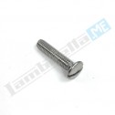 Vite 4x20mm a goccia di sego