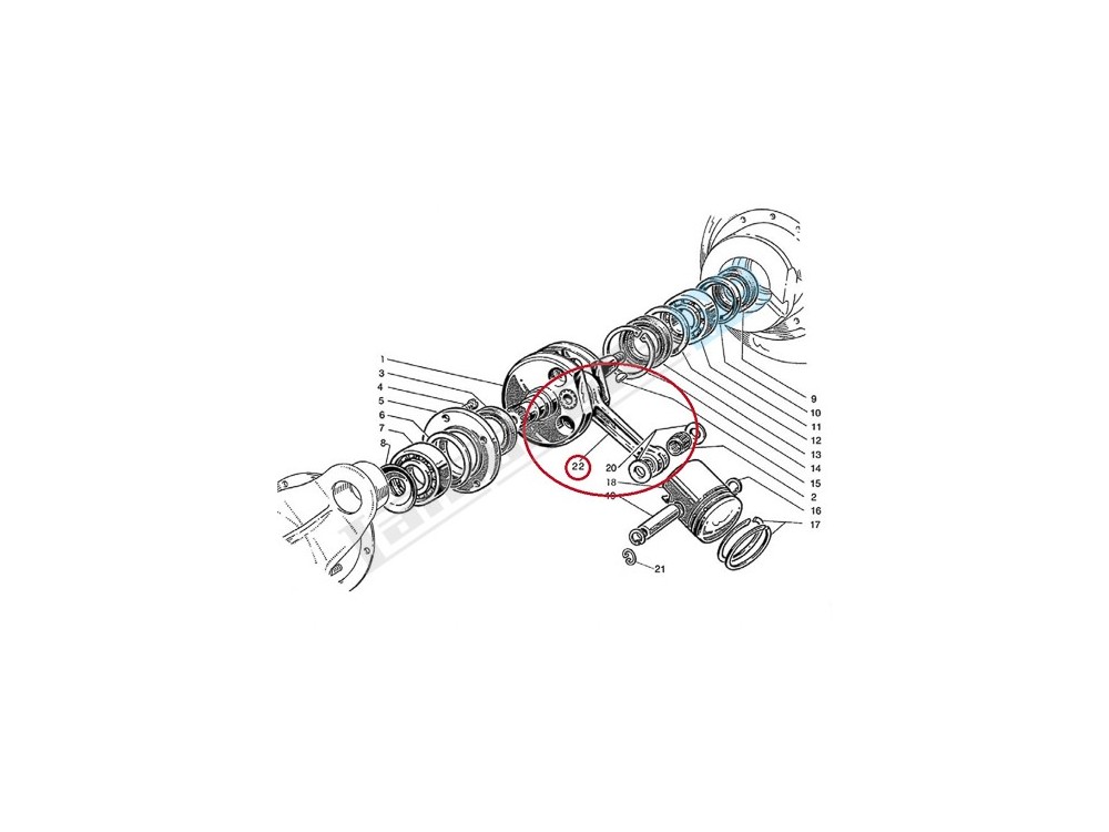 Biella completa LI/S/SX/DL 125/150cc