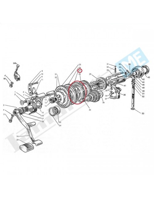 Ingranaggio III velocità 37 denti