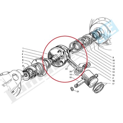 Albero motore completo DL 200