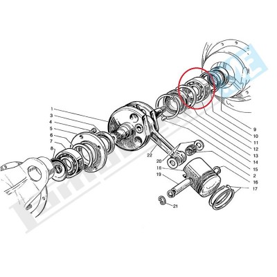 Cusc. a rulli maggiorato per albero motore (NU2205)