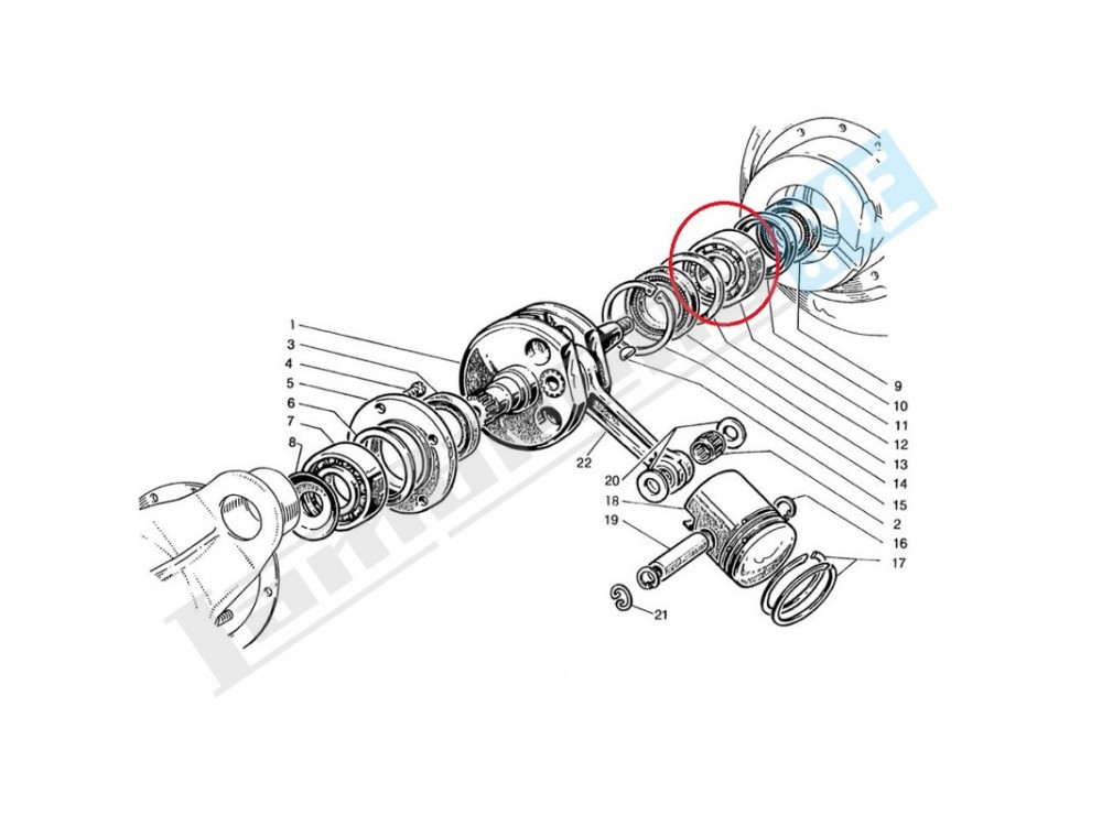 Cusc. a rulli maggiorato per albero motore (NU2205)