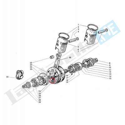 Vite Ø5X14mm