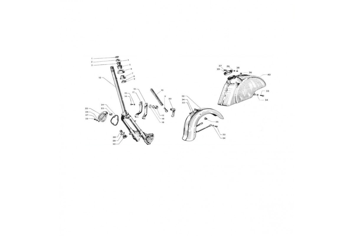 Forcella, parafango e molleggio anteriore (Tav.14)