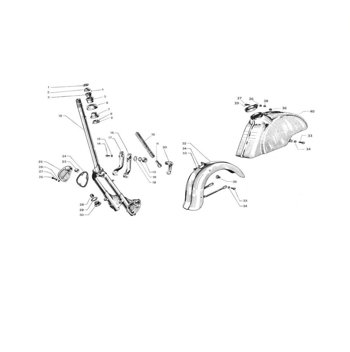 Forcella, parafango e molleggio anteriore (Tav.14)
